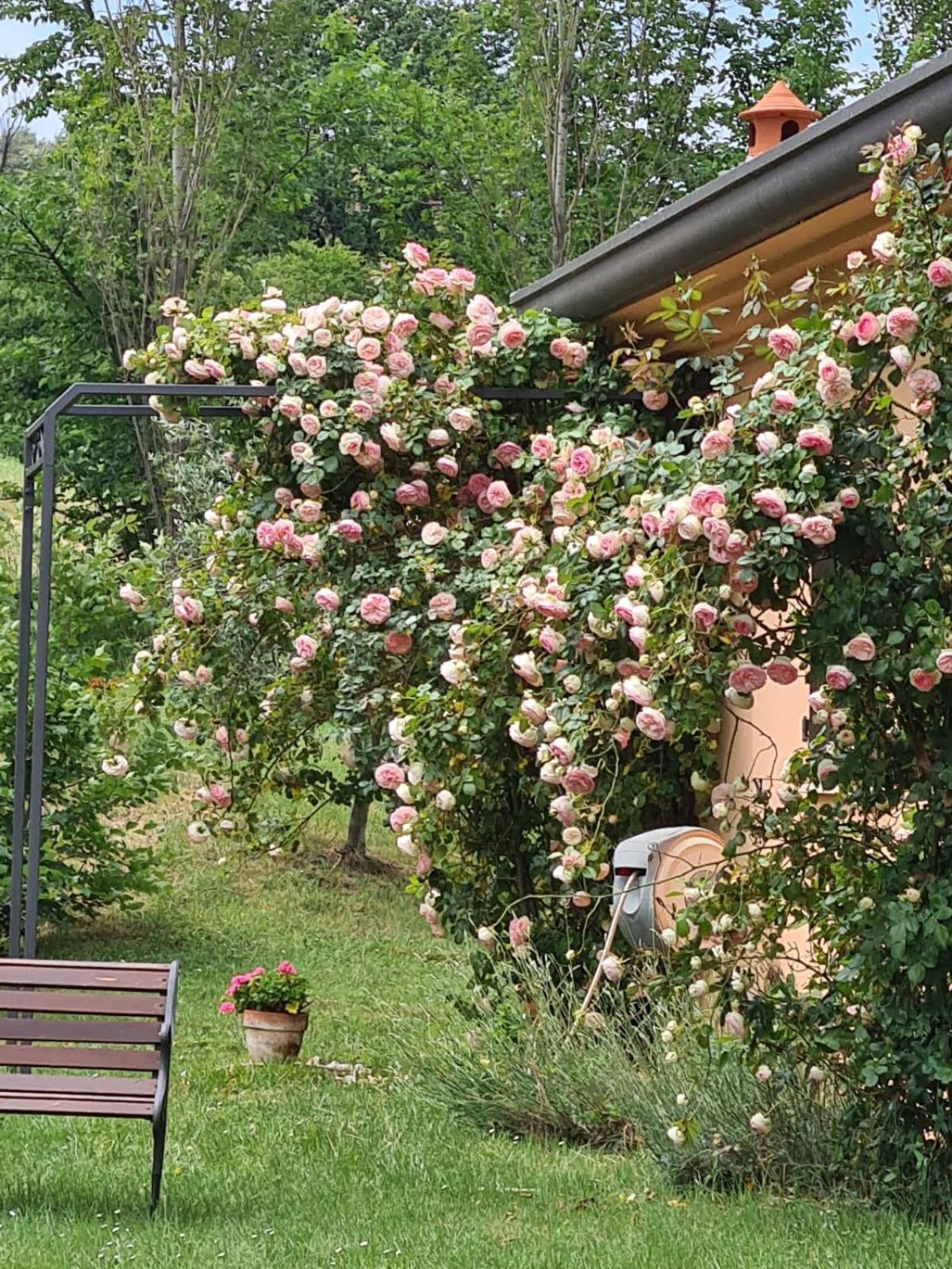 B&B Rosaverde Mulazzano Exterior photo